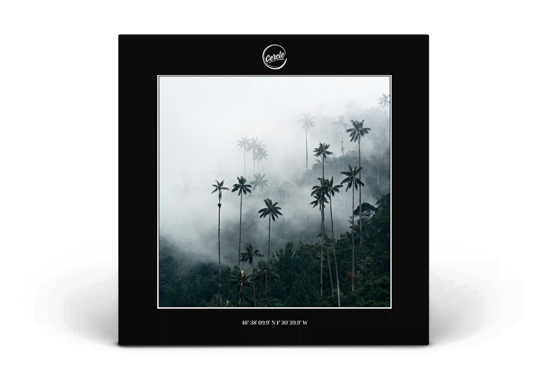 cocora