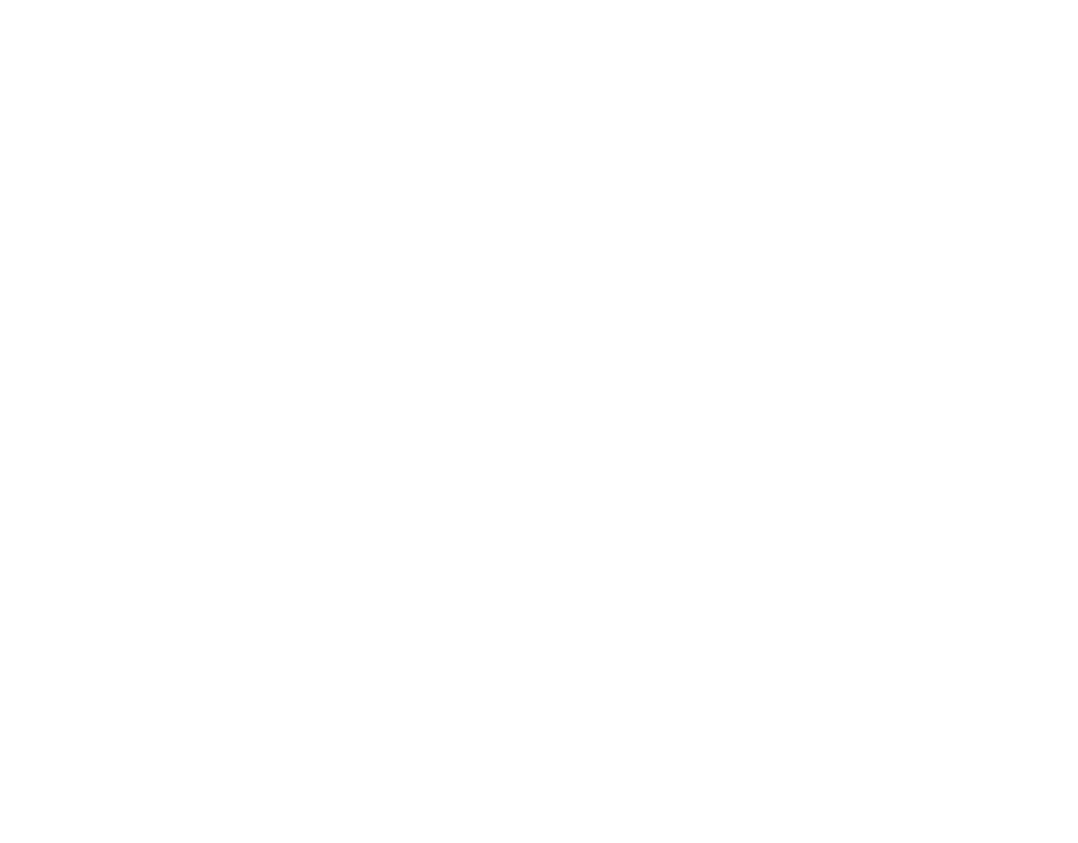 logo2